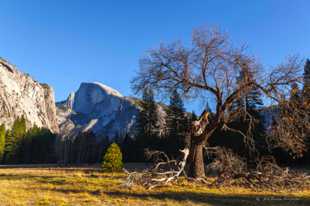 Half Dome-5832.jpg